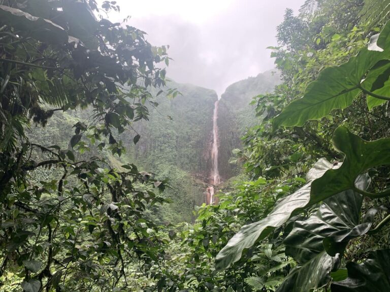 View of Premiere Chute du Carbet waterfall in Guadeloupe surrounded by lush green jungle.