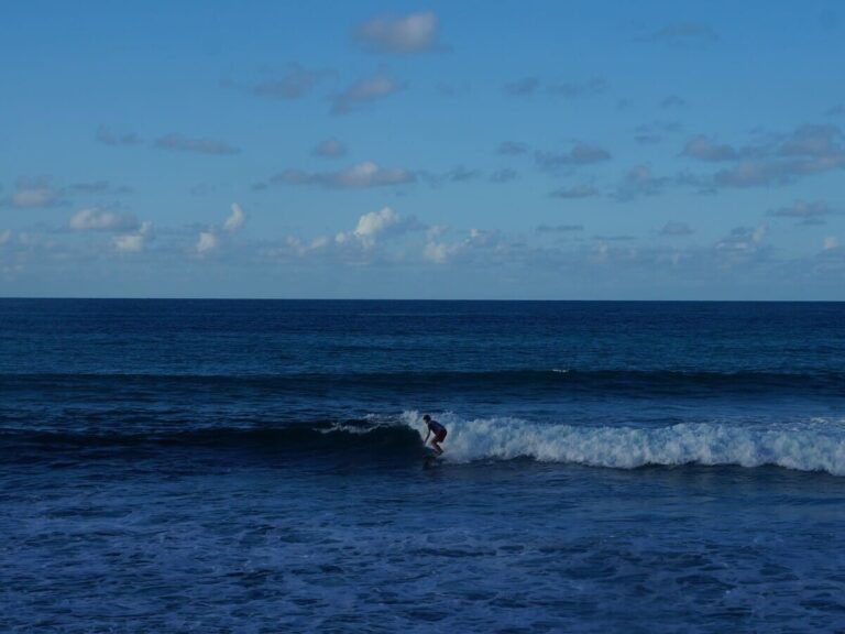 A surfer stands on a surfboard, riding a ocean wave in Guadeloupe, with clear blue sky in the background. This image is part of a post about generating energy from ocean waves.