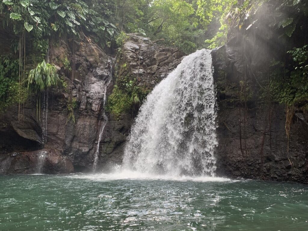 Clear water flowing from the waterfall Saut de Lézarde in Guadeloupe into a turquoise basin surrounded by lush green vegetation.