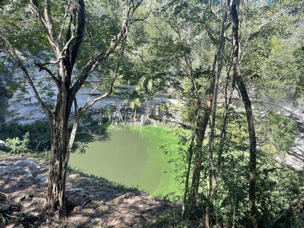 A view of a natural sinkhole in the ground known as a cenote in the Yucatan Peninsula. The image shows the green water of the cenote, surrounded by rock formations and vegetation. This picture is part of a post about Cenotes and the Dinosaur Extinction.