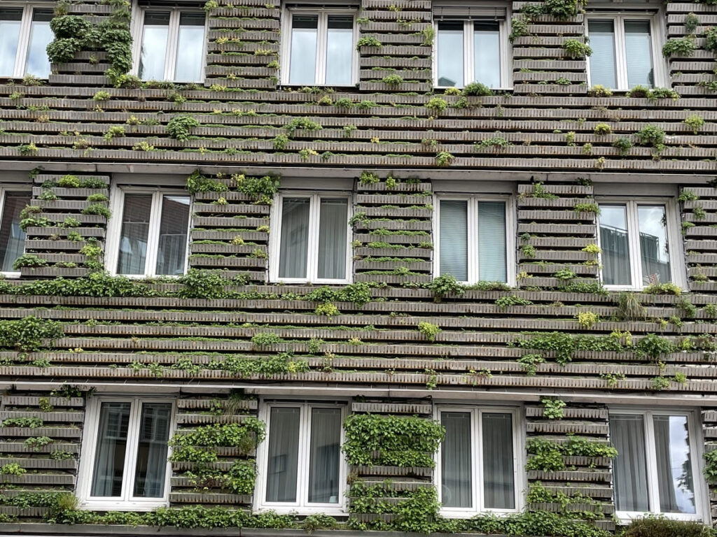 The picture shows facade greening in Vienna, Austria. It is part of a blog post about how we can increase energy efficiency with facade and roof greening.